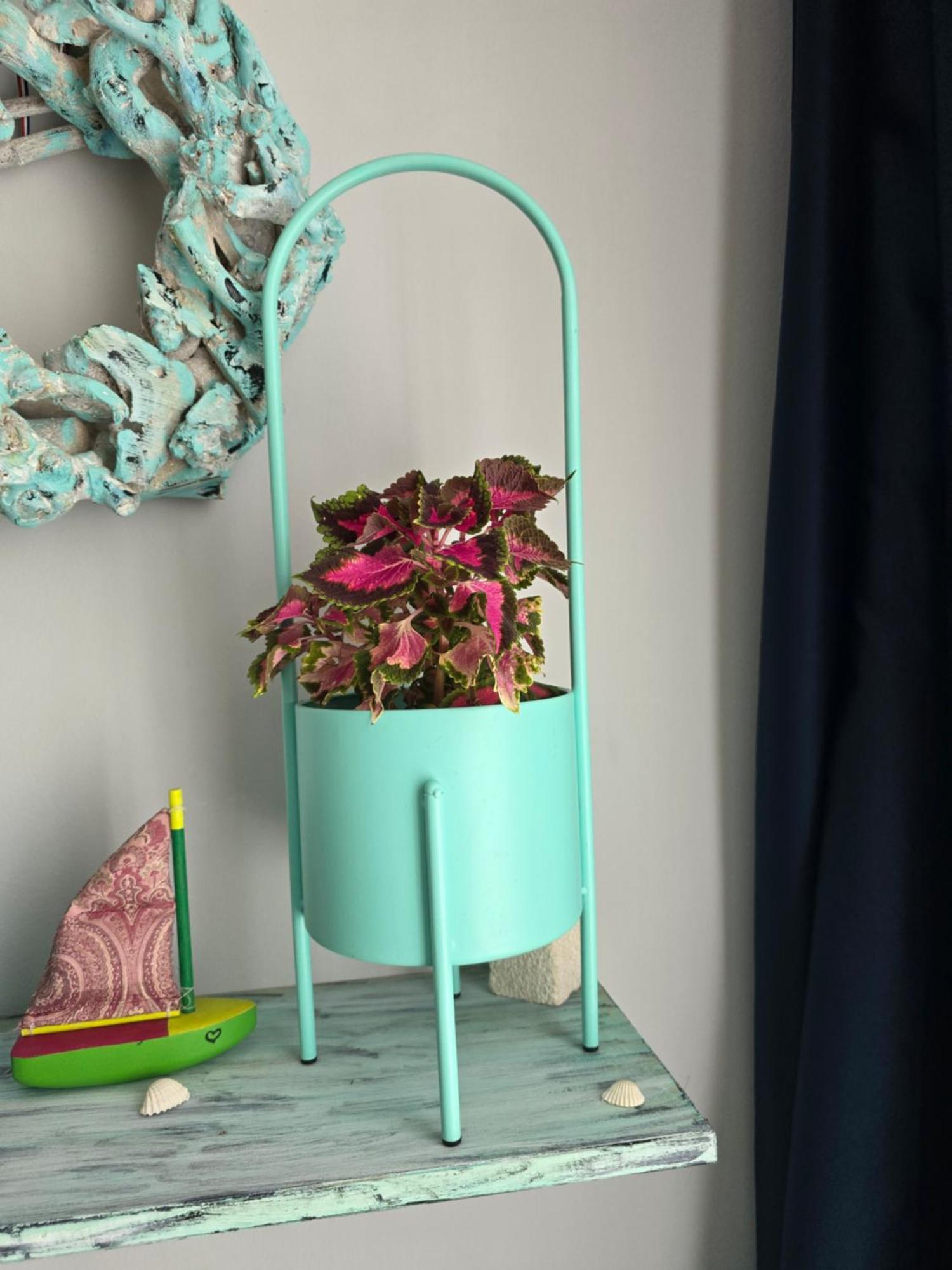 Darlea Apartman Rijeka Luaran gambar